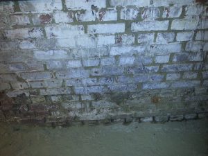 Feuchte Wände im Keller